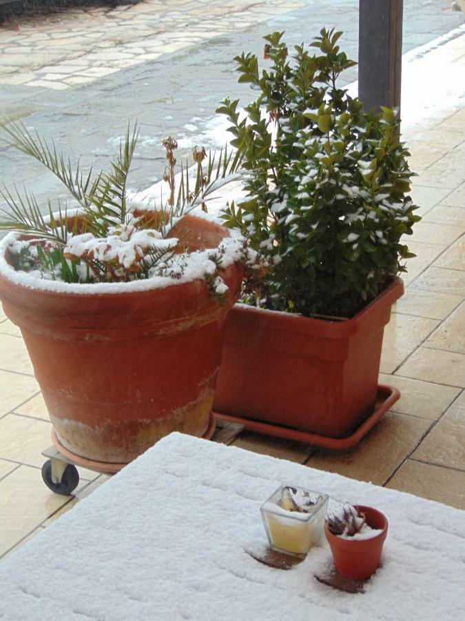 Appartamenti Ca'Melia Sarzana Exterior photo